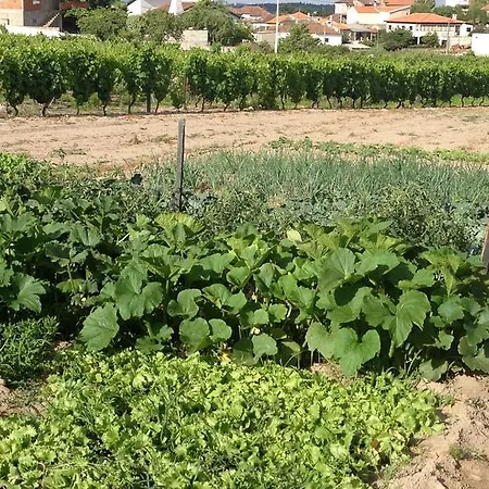 Casa Da Trigueira * Santa Eugenia
