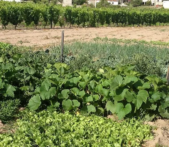 Casa Da Trigueira * Santa Eugénia